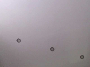 pizzahubb webcam model stream image