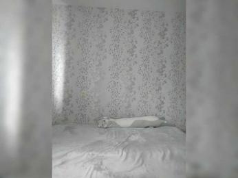 Ramen webcam model stream image