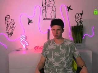 mister-vice webcam model stream image