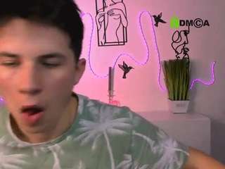 mister-vice webcam model stream image