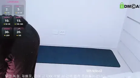 whitelee2 webcam model stream image