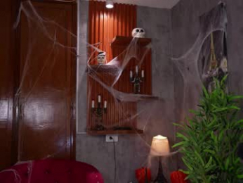 capizzi_ webcam model stream image