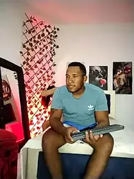 ARTHUR_MINI webcam model stream image