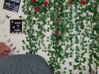 butterflybooty webcam model stream image