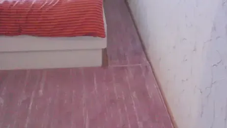 svvs27 webcam model stream image