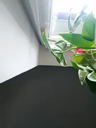 Czarnoksieznik webcam model stream image