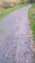 biex2 webcam model stream image