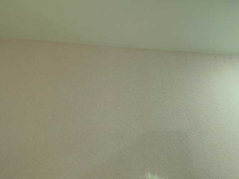 Ariellaa webcam bongacams model stream image