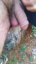 Daddy_capixaba webcam model stream image