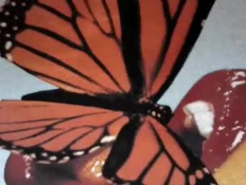 lilvioletxxx webcam model stream image