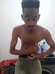 gemini_loops webcam model stream image