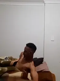 gemini_loops webcam model stream image