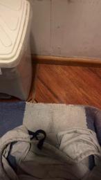 potrillo36 webcam model stream image