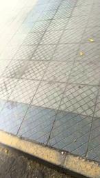 potrillo36 webcam model stream image