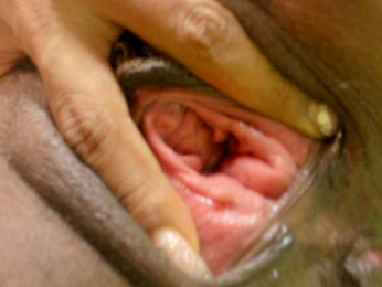 wilmauryssexy webcam model stream image