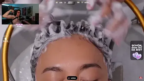 sebirp webcam model stream image