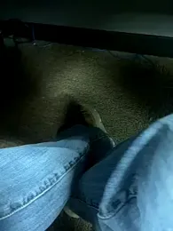 hintly webcam stripchat model stream image