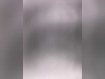 Pussydollnet webcam model stream image