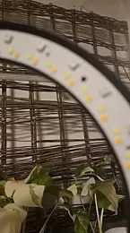 YourFavCanadianMILF webcam model stream image