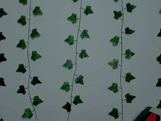 miaa-garcia webcam model stream image