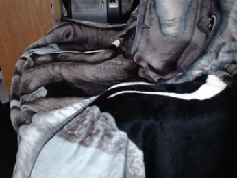 froy4989 webcam model stream image