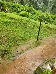 BasicGoal96 webcam model stream image