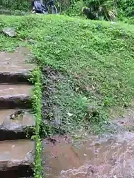 BasicGoal96 webcam model stream image