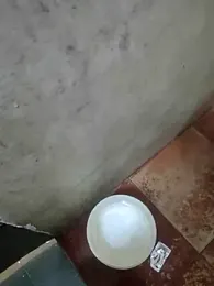 BasicGoal96 webcam model stream image