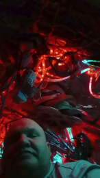 thebushwacker webcam model stream image