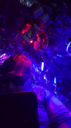 thebushwacker webcam model stream image