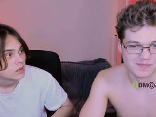 karl-mans webcam model stream image