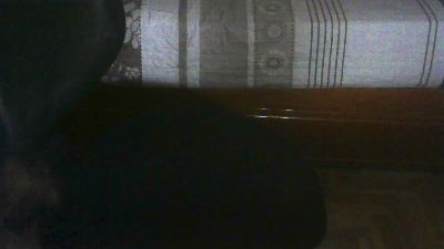 perrako_cerd webcam model stream image