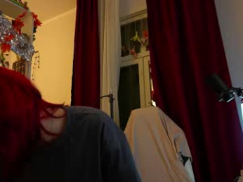 fox_and_dog webcam model stream image