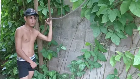 Jhon-big-cock webcam model stream image