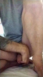 Lizard3 webcam model stream image