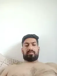 Delhi_johansins 预览图