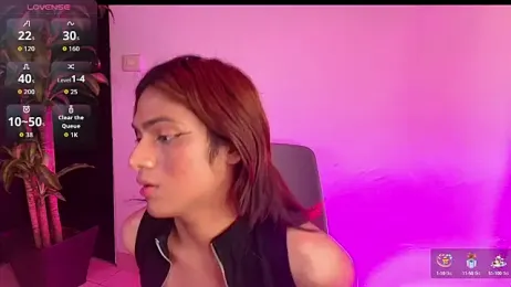 imgerver webcam model stream image