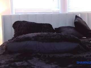 shawn-geni webcam model stream image