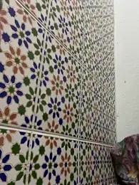 Ni-_haL01 webcam stripchat model stream image