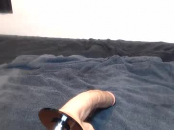 browardboy69 webcam chaturbate model stream image