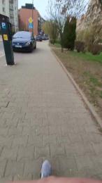 RealPublicManPl webcam model stream image