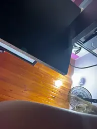 horny_babyss webcam stripchat model stream image