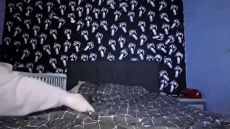 milfshaker66 webcam model stream image