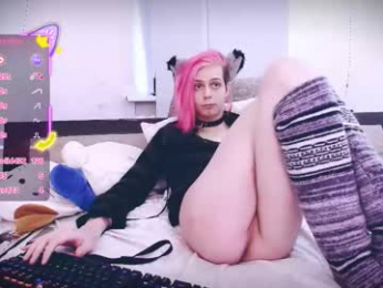 littlepinkcat webcam model stream image
