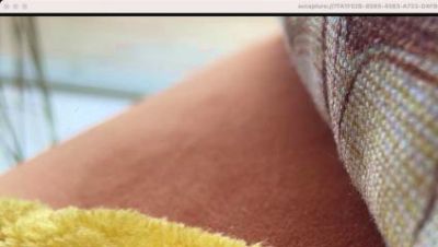 MaXAnalGames webcam model stream image