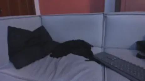 kayla_hasab webcam stripchat model stream image