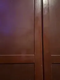 BBC_model20 webcam model stream image