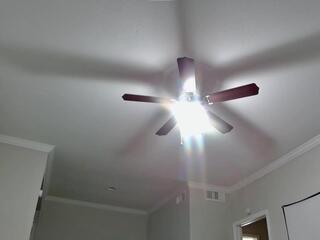 Throne J webcam model stream image