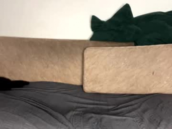 thejoestars webcam chaturbate model stream image