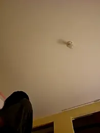 Latin_summer webcam stripchat model stream image